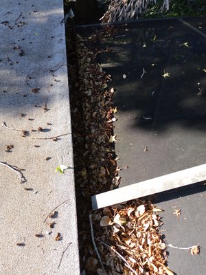 Random Gutter cleaning jobs in and around pinellas - Some examples of recent gutter cleaning in and around Pinellas County Random Gutter cleaning jobs in and around pinellas - Some examples of recent gutter cleaning in and around Pinellas County