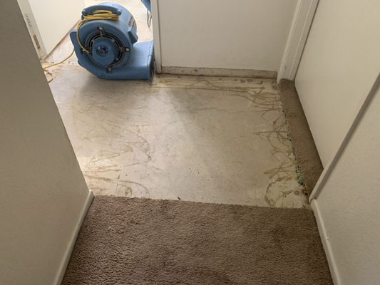 Water damage and Mold 3 - Some More Water Damage and Mold we cleaned up! Water damage and Mold 3 - Some More Water Damage and Mold we cleaned up!