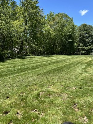 Lawn Care - Explore the quality and consistency of lawn care by R and S Landscaping. Lawn Care - Explore the quality and consistency of lawn care by R and S Landscaping.