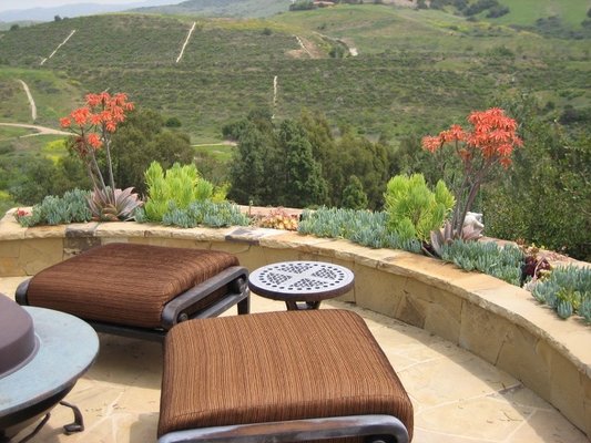 Mediterranean Gardens - Bonnie Smith is a landscape designer specializing in colorful Mediterranean plants suitable for this area. Bonnie is a licensed landscape contractor with over 25 years of experience in landscape design and contracting. All projects designed by Bonnie’s Gardens are installed by Ron Smith and Co., Inc, licensed landscape contractor specializing in all aspects of landscape contracting. Patios, pavers, all hardscape applications, water features, irrigation, planting and outdoor lighting.