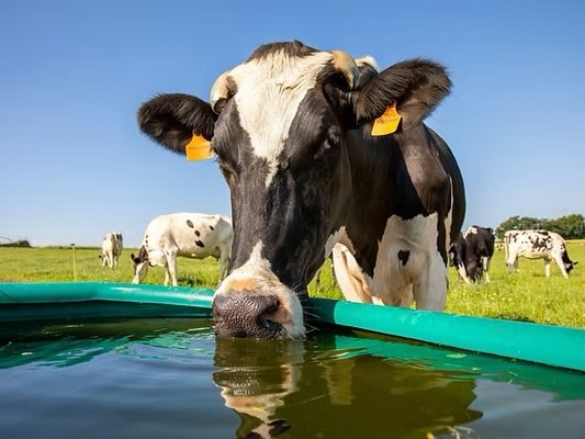 Agricultural Tank Fills - Agricultural Tank and Trough Fills