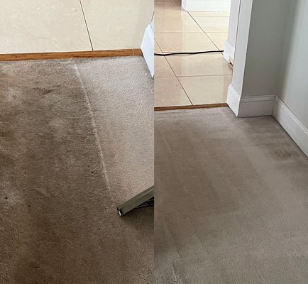 CARPET CLEANING - Your carpets are more are than just floor coverings.
They are vital to your homes, comfort, and style .
Carpets can collect dirt, stains, and allergens over time. This doll in harms indoor air quality. That’s where we come in!
Our carpet cleaning service will revive your carpets. They will be fresh clean and vibrant. CARPET CLEANING - Your carpets are more are than just floor coverings.
They are vital to your homes, comfort, and style .
Carpets can collect dirt, stains, and allergens over time. This doll in harms indoor air quality. That’s where we come in!
Our carpet cleaning service will revive your carpets. They will be fresh clean and vibrant.