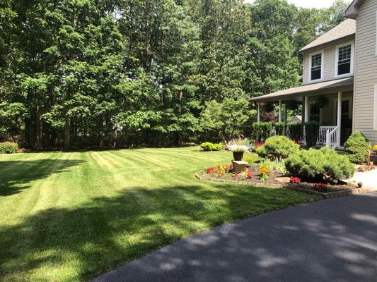 Lawn Maintenance - This was an ongoing maintenance plan with 10 day revolving cuts, yearly soil testing, fertilization program, adding mulch in the spring and removing weeds and other unwanted growths. We also pressure washed their pool concrete, removed weeds in the stone beds and planted shrubs. Lawn Maintenance - This was an ongoing maintenance plan with 10 day revolving cuts, yearly soil testing, fertilization program, adding mulch in the spring and removing weeds and other unwanted growths. We also pressure washed their pool concrete, removed weeds in the stone beds and planted shrubs.