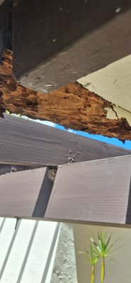 Fascia Repair With Termite‑Ant Damage - This fascia repair was needed after termite ants damaged the original wood, leaving sections soft and beginning to separate. We removed all Fascia Repair With Termite‑Ant Damage - This fascia repair was needed after termite ants damaged the original wood, leaving sections soft and beginning to separate. We removed all