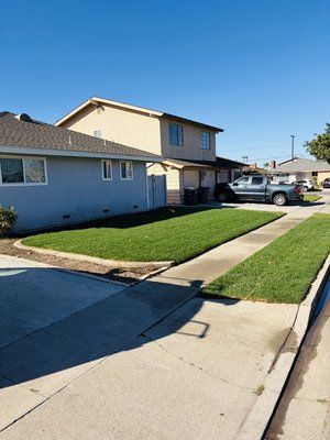 New Sod and Irrigation - New Landscaping in Front and Backyard resulting in another happy customer!