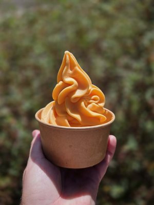 Commercial Soft Serve Machine - We offer a full-service soft serve machine delivery to your event.  We provide all supplies to make and serve ice cream. Free delivery included within 20 miles of 95621.