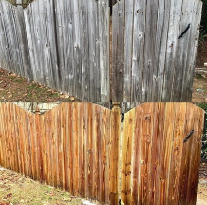 Fence Treatment - Algae removal from fence