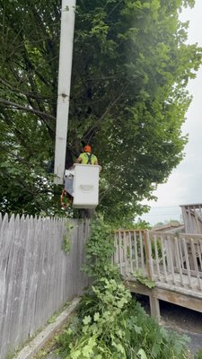 Branch trimming - Tree branches needed to be removed because they were a hazard. They were obstructing a wheelchair ramps overhead. Client didn’t want tree to be cut down but instead the limbs to be cut back in a way that wouldn’t obstruct the ramp.
