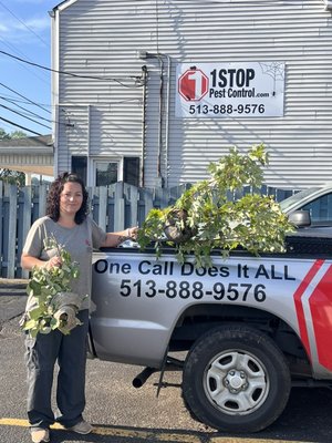 Bald face hornet nest removal - Stinging insects, bald face hornets are insects you don't want to mess with on your own. Call 1 Stop Pest Control 
We will keep you and your family safe!