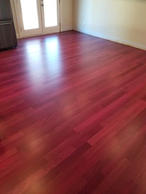 Refinish project in Windsor - Refinished 600 sq ft went natural Brazilian cherry Refinish project in Windsor - Refinished 600 sq ft went natural Brazilian cherry