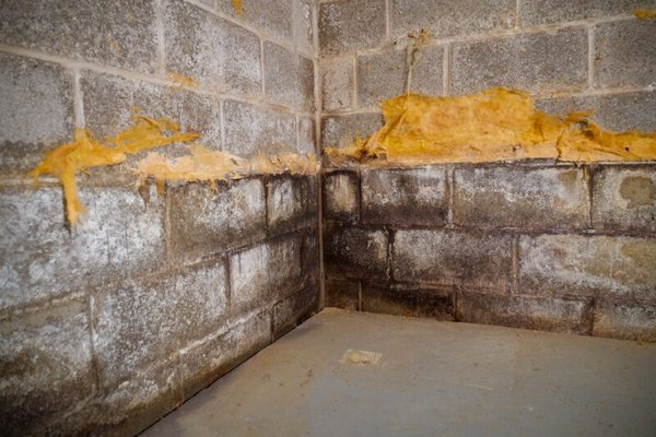Basement Waterproofing - Protect Your Home from the Ground Up. At Erie Home, we specialize in comprehensive basement systems, including foundation repair, waterproofing, and air quality services, to safeguard your home and prevent expensive damage to your home’s foundation. We understand that your home is your biggest investment and believe our products are your strongest line of defense. Our team will stop at nothing to ensure you feel safe in your home, repairing cracks in your foundation and waterproofing to prevent moisture from affecting you and your family. Basement Waterproofing - Protect Your Home from the Ground Up. At Erie Home, we specialize in comprehensive basement systems, including foundation repair, waterproofing, and air quality services, to safeguard your home and prevent expensive damage to your home’s foundation. We understand that your home is your biggest investment and believe our products are your strongest line of defense. Our team will stop at nothing to ensure you feel safe in your home, repairing cracks in your foundation and waterproofing to prevent moisture from affecting you and your family.