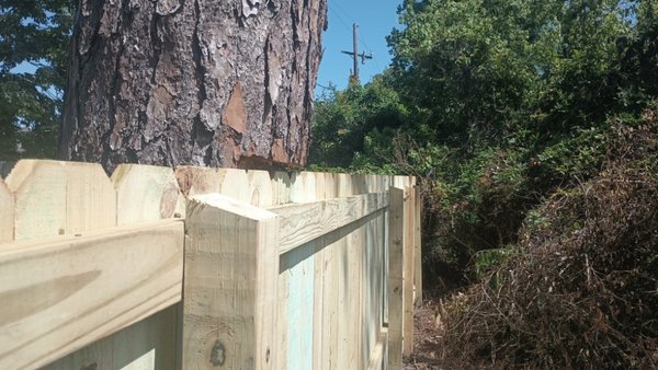 220 ft treated pine 6 ft fence W/ double Gates - this fence was in really bad shape when we got to it. the 2x4s were turned the wrong way and they were sagging extremely bad. we came through and gave them a 6 ft treated pine triple stringer 190 ft fence. we used 6x6 post for the gate post and use 8 in hinges on each side. there will be no sag for a long time. we cut all our 4x4 post at an angle for water drainage so that the water does not sit on top of the post. this one took four and a half days almost five, because of the root system. but we came through and made it happen and delivered on a beautiful pine fence. 220 ft treated pine 6 ft fence W/ double Gates - this fence was in really bad shape when we got to it. the 2x4s were turned the wrong way and they were sagging extremely bad. we came through and gave them a 6 ft treated pine triple stringer 190 ft fence. we used 6x6 post for the gate post and use 8 in hinges on each side. there will be no sag for a long time. we cut all our 4x4 post at an angle for water drainage so that the water does not sit on top of the post. this one took four and a half days almost five, because of the root system. but we came through and made it happen and delivered on a beautiful pine fence.