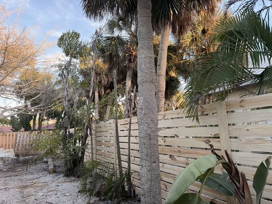 6’H horizontal semi privacy PTP, 10’ posts concreted in, pre-stained pickets and 1” gap. Built on Siesta Key. Gap made for wind resistance - We build up-graded fences. A normal fence is 8’ wide. Ours is 6’ wide, it looks better and is more secure for hurricane conditions in Sarasota, FL.
The normal fence is built with un-stained pickets which need staining within 1month of completion. Ours are built with pre-stained pickets, which are a beautiful color and will not need staining for at least 2 years.
Fence posts are normally 8’ long, ours are 10’ long and further secured with high strength concrete. We do this to prevent our fence to ever leaning and it will never fall down!
A normal gate has 4”x 4”x8’ posts, ours are 6” x 6” x 10’. Guaranteeing your gate will not lean or sag on the posts.
The normal gate, if it has a frame at all, will be built with wood. All of our gates are built with a metal gate frame to ensure your gate never sags or drags.
We build fences and gates with will not sag or have gate issues, by ensuring we build you the best, most secure fence and gate possible. We live in Florida. We build your fence to withstand our weather! 6’H horizontal semi privacy PTP, 10’ posts concreted in, pre-stained pickets and 1” gap. Built on Siesta Key. Gap made for wind resistance - We build up-graded fences. A normal fence is 8’ wide. Ours is 6’ wide, it looks better and is more secure for hurricane conditions in Sarasota, FL.
The normal fence is built with un-stained pickets which need staining within 1month of completion. Ours are built with pre-stained pickets, which are a beautiful color and will not need staining for at least 2 years.
Fence posts are normally 8’ long, ours are 10’ long and further secured with high strength concrete. We do this to prevent our fence to ever leaning and it will never fall down!
A normal gate has 4”x 4”x8’ posts, ours are 6” x 6” x 10’. Guaranteeing your gate will not lean or sag on the posts.
The normal gate, if it has a frame at all, will be built with wood. All of our gates are built with a metal gate frame to ensure your gate never sags or drags.
We build fences and gates with will not sag or have gate issues, by ensuring we build you the best, most secure fence and gate possible. We live in Florida. We build your fence to withstand our weather!
