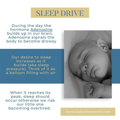 Sleep Support Packages - Newborn Sleep Package: Recommended for Expectant Parents and Infants up to 3 Months Old. Includes Newborn Baby Sleep eBook, One 60 Minute Phone Consultation, One Week of Daily Follow Up Support, and Evaluation of Child’s Daily Sleep & Nap Log.
Essentials Sleep Package: Recommended for Children 4 Months – 5 years. Includes Extensive Emailed Intake Form, One 90 Minute Phone Consultation, Customized Written Sleep Plan, Two Weeks of Daily Follow Up Support, and Evaluation of Child’s Daily Sleep & Nap Log
Home Sweet Home Package: Limited to clients in the Honolulu metro area. Recommended for Children 4 Months – 5 years. Includes Extensive Emailed Intake Form, 90 Minute In-Home Visit by Pediatric Sleep Specialist, Customized Written Sleep Plan, Two Weeks of Daily Follow Up Support, and Evaluation of Child’s Daily Sleep & Nap Log Sleep Support Packages - Newborn Sleep Package: Recommended for Expectant Parents and Infants up to 3 Months Old. Includes Newborn Baby Sleep eBook, One 60 Minute Phone Consultation, One Week of Daily Follow Up Support, and Evaluation of Child’s Daily Sleep & Nap Log.
Essentials Sleep Package: Recommended for Children 4 Months – 5 years. Includes Extensive Emailed Intake Form, One 90 Minute Phone Consultation, Customized Written Sleep Plan, Two Weeks of Daily Follow Up Support, and Evaluation of Child’s Daily Sleep & Nap Log
Home Sweet Home Package: Limited to clients in the Honolulu metro area. Recommended for Children 4 Months – 5 years. Includes Extensive Emailed Intake Form, 90 Minute In-Home Visit by Pediatric Sleep Specialist, Customized Written Sleep Plan, Two Weeks of Daily Follow Up Support, and Evaluation of Child’s Daily Sleep & Nap Log
