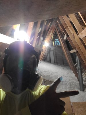 Contaminated insulation replacement. - This was a 1200 foot insulation, replacement removal and disposal.