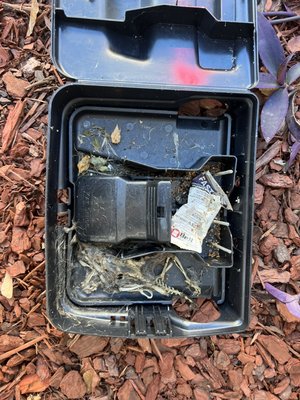 Rodent jobs - All of our rodent services include exclusion and a 45 day warranty. We even offer bi- monthly bait station services
