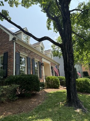 Window Cleaning - Residential job, turned out great! Window Cleaning - Residential job, turned out great!