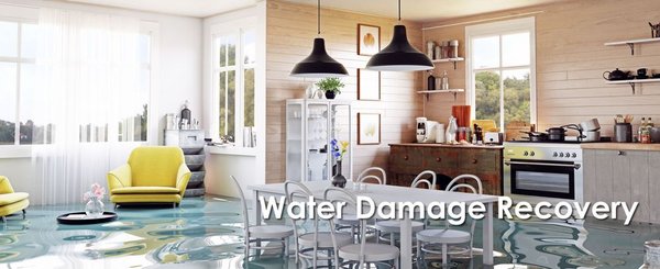 Restoring Peace of Mind After Water Damage - There are many emergencies that can occur inside your home that will ultimately cause water damage, including burst pipes, a clogged toilet, leaking dishwasher lines, water heater failure, sewer backup and sump pump failure.
At California State Restoration Services in Santa Rosa, CA, we have you 100% covered with our comprehensive range of water damage restoration, sewage cleanup and/or mold removal services.
When you hire water restoration professionals, a prompt and experienced team will work with you and your insurance company to ensure that the experience is as painless as possible.
Why Choose California State Restoration?
-24/7 Rapid Emergency Response
-Certified & Experienced Professionals
-Insurance Claim Assistance
-Transparent Estimates & Timelines
-Commitment to Quality & Safety Restoring Peace of Mind After Water Damage - There are many emergencies that can occur inside your home that will ultimately cause water damage, including burst pipes, a clogged toilet, leaking dishwasher lines, water heater failure, sewer backup and sump pump failure.
At California State Restoration Services in Santa Rosa, CA, we have you 100% covered with our comprehensive range of water damage restoration, sewage cleanup and/or mold removal services.
When you hire water restoration professionals, a prompt and experienced team will work with you and your insurance company to ensure that the experience is as painless as possible.
Why Choose California State Restoration?
-24/7 Rapid Emergency Response
-Certified & Experienced Professionals
-Insurance Claim Assistance
-Transparent Estimates & Timelines
-Commitment to Quality & Safety