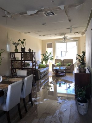 Water & Flood Damage Claims - From burst pipes to storm flooding, we manage water damage claims from start to finish. Our team ensures nothing gets overlooked so you can recover faster. Water & Flood Damage Claims - From burst pipes to storm flooding, we manage water damage claims from start to finish. Our team ensures nothing gets overlooked so you can recover faster.