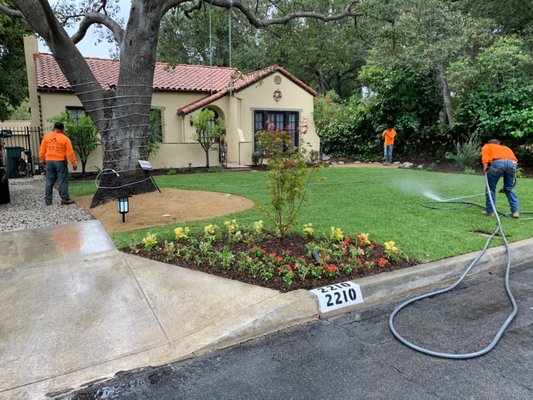 Fresh new yard - This front yard got a fresh new look Fresh new yard - This front yard got a fresh new look