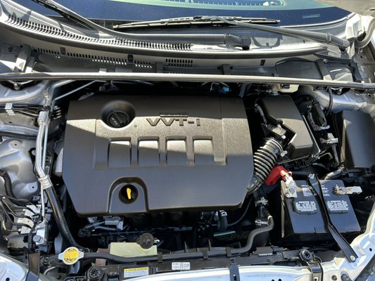 Engine Bay Cleaning - Revive your ride with a spotless engine bay! Our expert cleaning service removes grime, grease, and debris, ensuring better safety and a cleaner look. Keep your engine running smooth and looking sharp. Call now for your Free estimate! Engine Bay Cleaning - Revive your ride with a spotless engine bay! Our expert cleaning service removes grime, grease, and debris, ensuring better safety and a cleaner look. Keep your engine running smooth and looking sharp. Call now for your Free estimate!