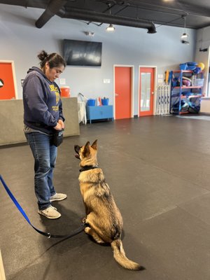 Private Training - Scheduled at times convenient to you, this is ideal if:
• You’d prefer one-on-one attention
• Your schedule makes it difficult to attend group classes
• Your dog is too reactive to participate in a group setting
• You’d like to focus on a specific behavior issue
• You wish to accelerate the learning of any behaviors Private Training - Scheduled at times convenient to you, this is ideal if:
• You’d prefer one-on-one attention
• Your schedule makes it difficult to attend group classes
• Your dog is too reactive to participate in a group setting
• You’d like to focus on a specific behavior issue
• You wish to accelerate the learning of any behaviors