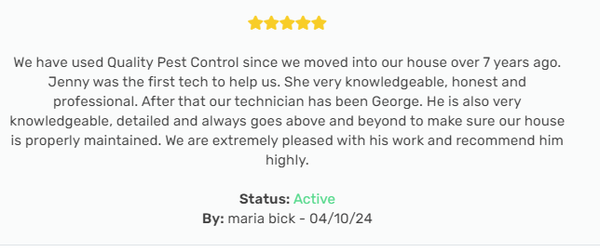 We are Highly rated on Google, Angi, & 5 Star Rated! Looking to do the same for our Yelp customers as well! - We are Highly rated on Google, Angi, & 5 Star Rated! Looking to do the same for our Yelp customers as well! We are Highly rated on Google, Angi, & 5 Star Rated! Looking to do the same for our Yelp customers as well! - We are Highly rated on Google, Angi, & 5 Star Rated! Looking to do the same for our Yelp customers as well!