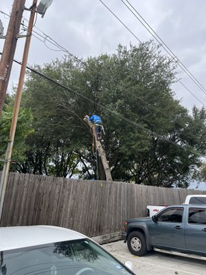 Fence line and utility clearing - We successfully cleared trees along a property line to facilitate the construction of a new fence for the HOA near a local park. The job was executed flawlessly, maintaining a secure work area throughout. Communication with all involved parties was transparent and clear, ensuring a smooth process from start to finish. Fence line and utility clearing - We successfully cleared trees along a property line to facilitate the construction of a new fence for the HOA near a local park. The job was executed flawlessly, maintaining a secure work area throughout. Communication with all involved parties was transparent and clear, ensuring a smooth process from start to finish.