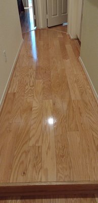 wood or vinyl floors - wood floors wood or vinyl floors - wood floors