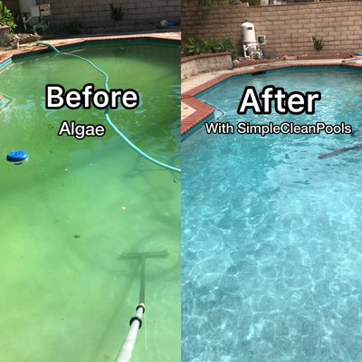 Algae Removal - Let us help you get your pool in top shape! We can get rid of that ugly green funk out of your pool.. Algae Removal - Let us help you get your pool in top shape! We can get rid of that ugly green funk out of your pool..