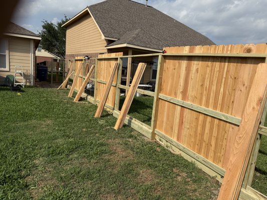 Fence replacement - Tomball tx,
western red cedar pickets 6 ft tall with 2x8 rot + 1 gate Fence replacement - Tomball tx,
western red cedar pickets 6 ft tall with 2x8 rot + 1 gate