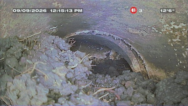 Camera inspection - This was discovered from a camera inspection
