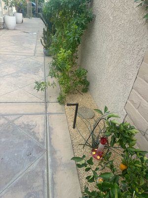 California Gold Gravel Landscape Installation in La Quinta, CA - This project features a California Gold 3/8” gravel landscape installation completed in La Quinta, CA, designed to enhance curb appeal while providing a low-maintenance, desert-friendly solution ideal for Coachella Valley homes.
Our client wanted a clean, modern look that would withstand the desert climate while improving drainage and reducing water usage. We carefully prepared the area, installed proper ground covering, and evenly laid California Gold decorative gravel, creating a durable and visually appealing landscape finish that complements the surrounding property.
Gravel landscaping is a popular choice in La Quinta and the Coachella Valley due to its longevity, minimal upkeep, and excellent drainage properties. This installation not only refreshed the appearance of the yard but also supports sustainable landscaping practices commonly used throughout Palm Desert, Palm Springs, Indio, and nearby desert cities.
We specialize in landscape installations, gravel and rock placement, irrigation solutions, and yard upgrades for residential properties across the Coachella Valley. Every project is completed with attention to detail and materials selected specifically for desert environments.
If you’re located in La Quinta, CA or surrounding areas and are considering a gravel landscape upgrade, California Gold gravel is an excellent option for both aesthetics and functionality.
📍 Serving La Quinta, Palm Desert, Palm Springs, Indio, Rancho Mirage, and surrounding Coachella Valley cities. California Gold Gravel Landscape Installation in La Quinta, CA - This project features a California Gold 3/8” gravel landscape installation completed in La Quinta, CA, designed to enhance curb appeal while providing a low-maintenance, desert-friendly solution ideal for Coachella Valley homes.
Our client wanted a clean, modern look that would withstand the desert climate while improving drainage and reducing water usage. We carefully prepared the area, installed proper ground covering, and evenly laid California Gold decorative gravel, creating a durable and visually appealing landscape finish that complements the surrounding property.
Gravel landscaping is a popular choice in La Quinta and the Coachella Valley due to its longevity, minimal upkeep, and excellent drainage properties. This installation not only refreshed the appearance of the yard but also supports sustainable landscaping practices commonly used throughout Palm Desert, Palm Springs, Indio, and nearby desert cities.
We specialize in landscape installations, gravel and rock placement, irrigation solutions, and yard upgrades for residential properties across the Coachella Valley. Every project is completed with attention to detail and materials selected specifically for desert environments.
If you’re located in La Quinta, CA or surrounding areas and are considering a gravel landscape upgrade, California Gold gravel is an excellent option for both aesthetics and functionality.
📍 Serving La Quinta, Palm Desert, Palm Springs, Indio, Rancho Mirage, and surrounding Coachella Valley cities.