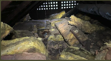 Expert Insulation Removal - We’re experts in safely removing all types of insulation from your home or property. Before we start your insulation removal, we perform a thorough evaluation as part of our free in-person estimate