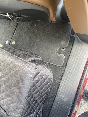 Pet Hair Removal, Interior Detail - Interior Detail + Pet hair removal
