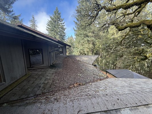 Roof Cleaning - Here we have debris and light moss growing on the roof. We removed the debris, cleaned them up, and applied treatment to prevent further moss growth.