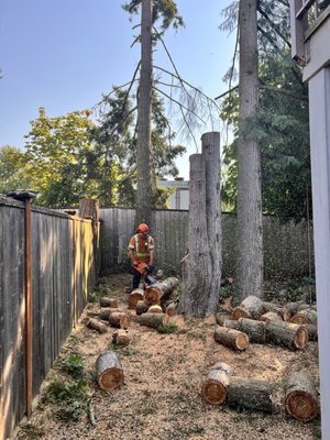 Hazard Tree Removals - We specialize in safe and efficient hazard tree removal to protect your property and loved ones. Whether a tree is diseased, storm-damaged, leaning dangerously, or posing a risk to structures and power lines, our expert team assesses the situation and removes it with precision. Hazard Tree Removals - We specialize in safe and efficient hazard tree removal to protect your property and loved ones. Whether a tree is diseased, storm-damaged, leaning dangerously, or posing a risk to structures and power lines, our expert team assesses the situation and removes it with precision.