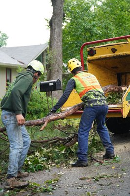Dangerous tree removal - This home was at serious risk, but the client reached out just in time — preventing major damage. We took action quickly, handling the trees with professionalism and offering the best prices around Dangerous tree removal - This home was at serious risk, but the client reached out just in time — preventing major damage. We took action quickly, handling the trees with professionalism and offering the best prices around