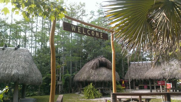 Cypress Boardwalk - The Cypress Dome
Enjoy a walk through the Everglades at the Ah-Tah-Thi-Ki Museum on the Big Cypress Reservation. The museum provides a one mile raised boardwalk, which winds through a beautiful 60-acre cypress dome. There are multiple opportunities along the boardwalk to rest, enjoy the scenery, and learn more about the Seminole culture. Entry to the boardwalk is open daily from 9:00 am until 4:00 pm. As it does circle a natural cypress dome, it may be closed due to inclement weather or other natural causes beyond our control.