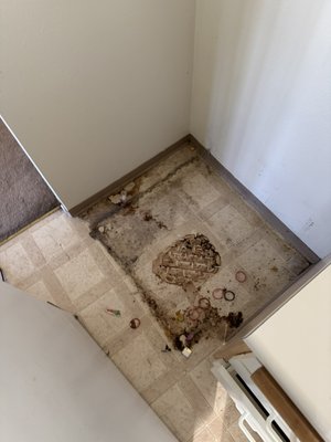 Move in cleaning🧹🧼 - Move in rental property clean Move in cleaning🧹🧼 - Move in rental property clean