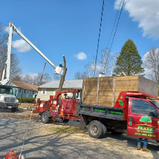 Professional Tree Removal Services - Over time, trees can become hazardous due to storm damage that has left them vulnerable to pests and diseases. When a tree becomes too unhealthy to thrive or acts as a safety threat, it's time to remove it. If any of the signs below are familiar to you, it's time to call the experts at Perez Tree Service & Hardscaping for a professional tree removal service in Lynn, MA. Professional Tree Removal Services - Over time, trees can become hazardous due to storm damage that has left them vulnerable to pests and diseases. When a tree becomes too unhealthy to thrive or acts as a safety threat, it's time to remove it. If any of the signs below are familiar to you, it's time to call the experts at Perez Tree Service & Hardscaping for a professional tree removal service in Lynn, MA.