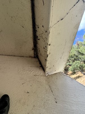 Humane Bat Removal and Exclusion - We helped resolve a bat intrusion using a humane removal and exclusion approach. Our team inspected the property, identified possible entry points, and created a safe plan to encourage the bats to leave without harming them. After removal, we focused on sealing access points to help prevent future intrusions. The work was completed carefully with the safety of the occupants and wildlife in mind. Humane Bat Removal and Exclusion - We helped resolve a bat intrusion using a humane removal and exclusion approach. Our team inspected the property, identified possible entry points, and created a safe plan to encourage the bats to leave without harming them. After removal, we focused on sealing access points to help prevent future intrusions. The work was completed carefully with the safety of the occupants and wildlife in mind.
