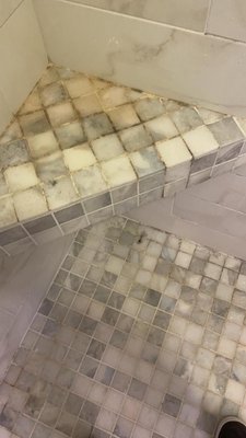 Mold Removal Transformation - Check out this amazing transformation! Before, the tiles were covered in stubborn mold – not a pretty sight. But after our team worked their magic, they look brand new! Ready for your own wow moment? Get a FREE quote now and let TidyNGo transform your space!