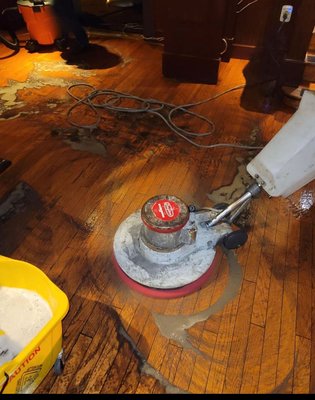 Janitorial Services - This project was done in the dining area of a Restaurant. Strip and sealing is a great way to improve the aesthetic look of your hardwood and keep it looking new and also your floors are always protected. Janitorial Services - This project was done in the dining area of a Restaurant. Strip and sealing is a great way to improve the aesthetic look of your hardwood and keep it looking new and also your floors are always protected.
