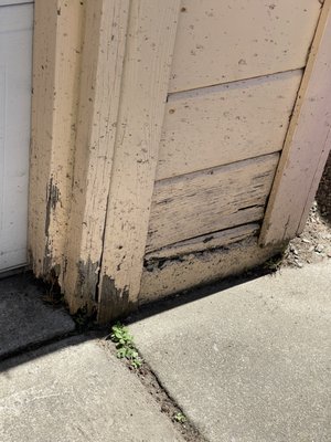 Dry rot problem - Not all wood rot is the same because each manifestation comes with a specific attacking set of destructive enzymes. It can be classified into brown, soft, and white rot according to different fungi is often the major culprit and it can arise due to poor ventilation, plumbing leaks, or condensation. Leaks, penetrating moisture, and blocked gutters/downspouts are other sources of moisture. Your plumber or local crawl space expert can help you uncover the sources of wood decay. Call ATB this way, you’ll be able to take appropriate action before things take a turn for the worse. Dry rot problem - Not all wood rot is the same because each manifestation comes with a specific attacking set of destructive enzymes. It can be classified into brown, soft, and white rot according to different fungi is often the major culprit and it can arise due to poor ventilation, plumbing leaks, or condensation. Leaks, penetrating moisture, and blocked gutters/downspouts are other sources of moisture. Your plumber or local crawl space expert can help you uncover the sources of wood decay. Call ATB this way, you’ll be able to take appropriate action before things take a turn for the worse.