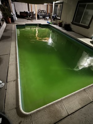 Green pool clean up - This is one of the many services we specialize in. if your pool has turned green due to bad service we can fix it!