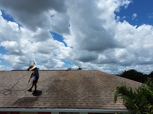 Roof Cleaning - Client inquired about getting her roof pressure washed due to the algae and dirt and grim that was building up.