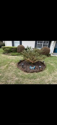 Increase Curb Appeal - We cleaned out a bed. Added plants, fresh mulch, and metal edging.