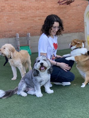 Dog Daycare - We have been selected by the Dallas Observer as the Best Doggy Daycare in their Reader's Choice Poll for both 2023 and 2024. Dog Daycare - We have been selected by the Dallas Observer as the Best Doggy Daycare in their Reader's Choice Poll for both 2023 and 2024.