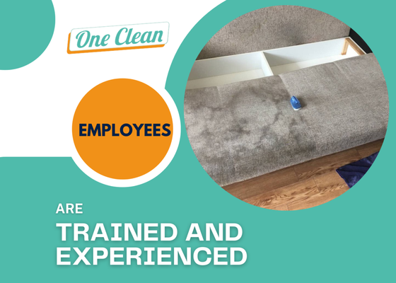 Trained Employees - Our employees are trained and experienced so the work is always done perfectly! Trained Employees - Our employees are trained and experienced so the work is always done perfectly!